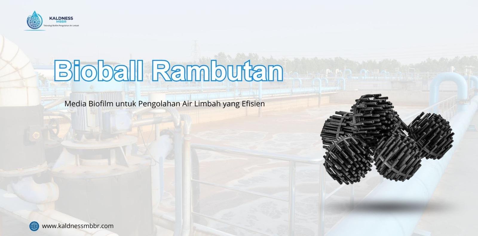 Bioball Rambutan